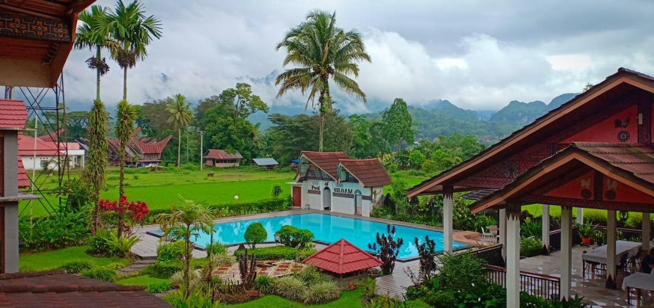Toraja Torsina Hotel Рантепао Экстерьер фото