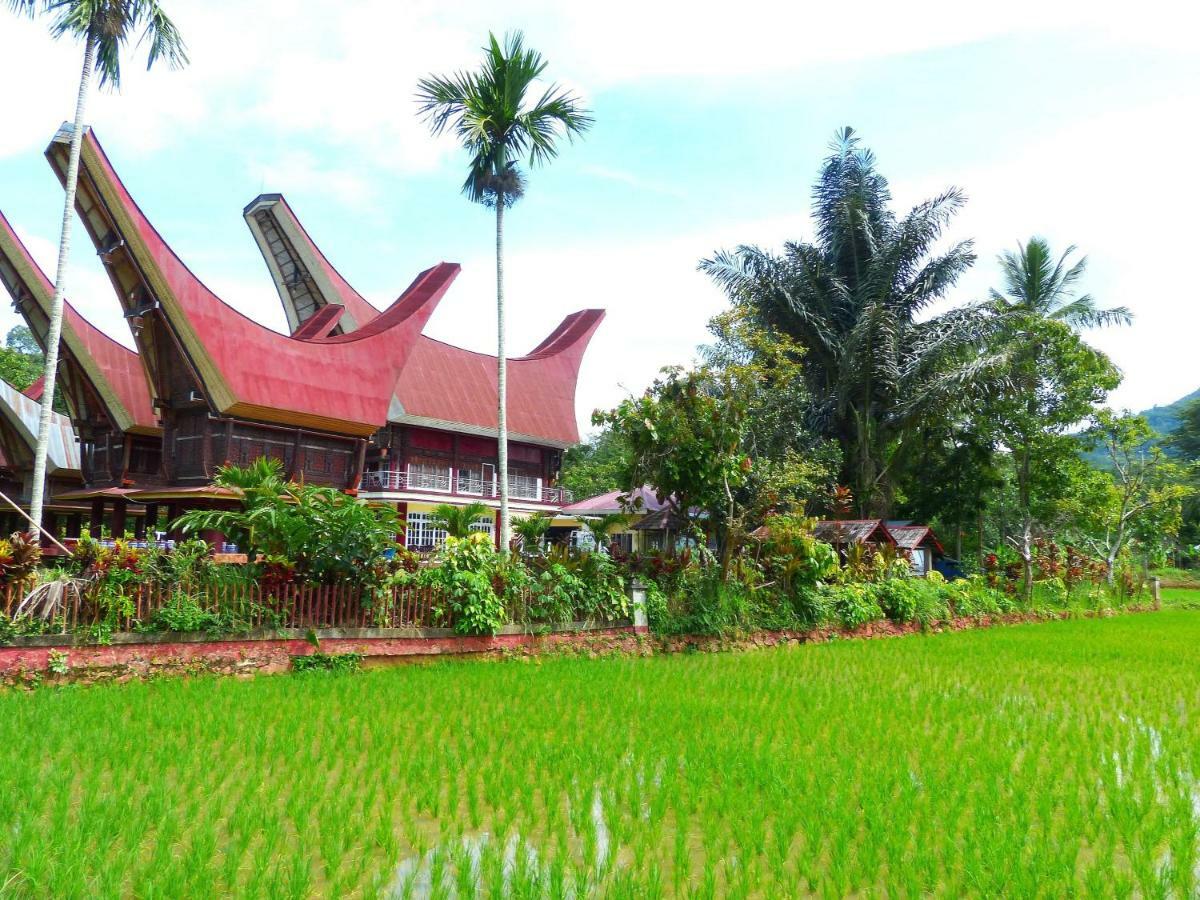 Toraja Torsina Hotel Рантепао Экстерьер фото